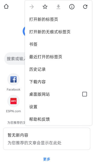 谷歌浏览器google chrome